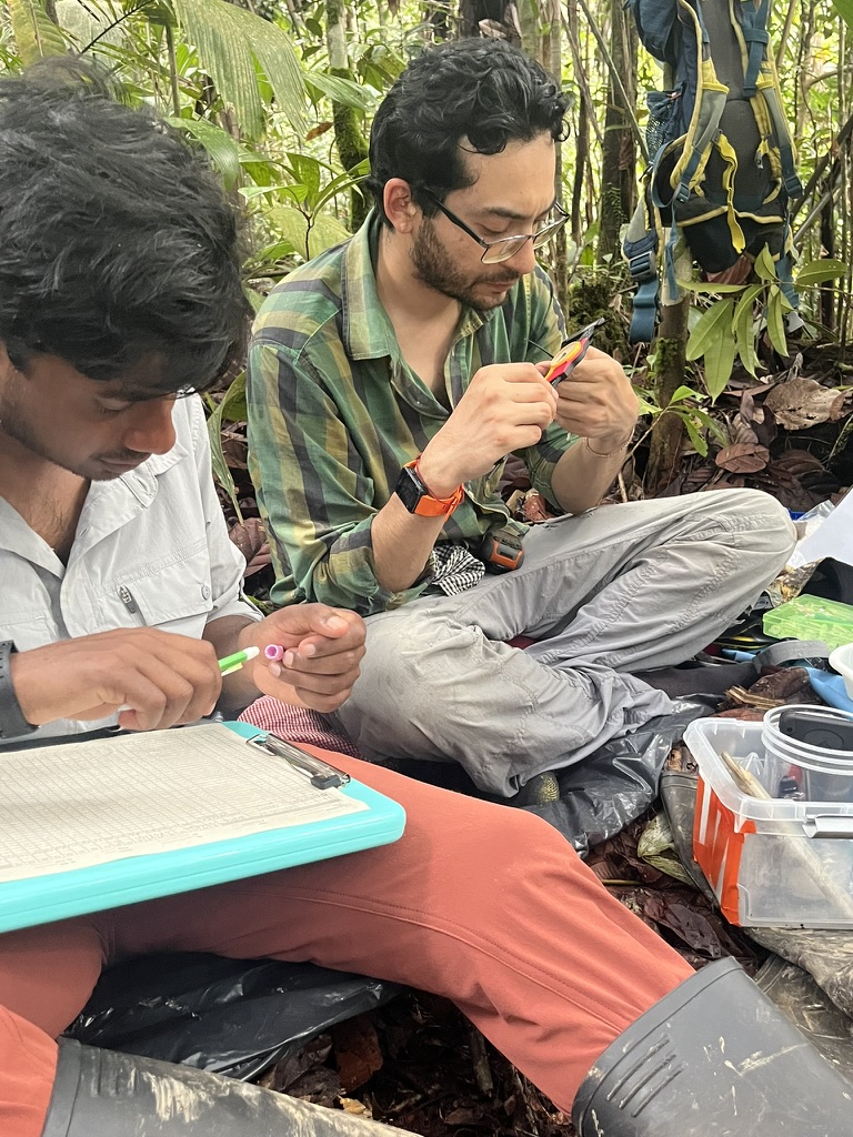 Team in the field
